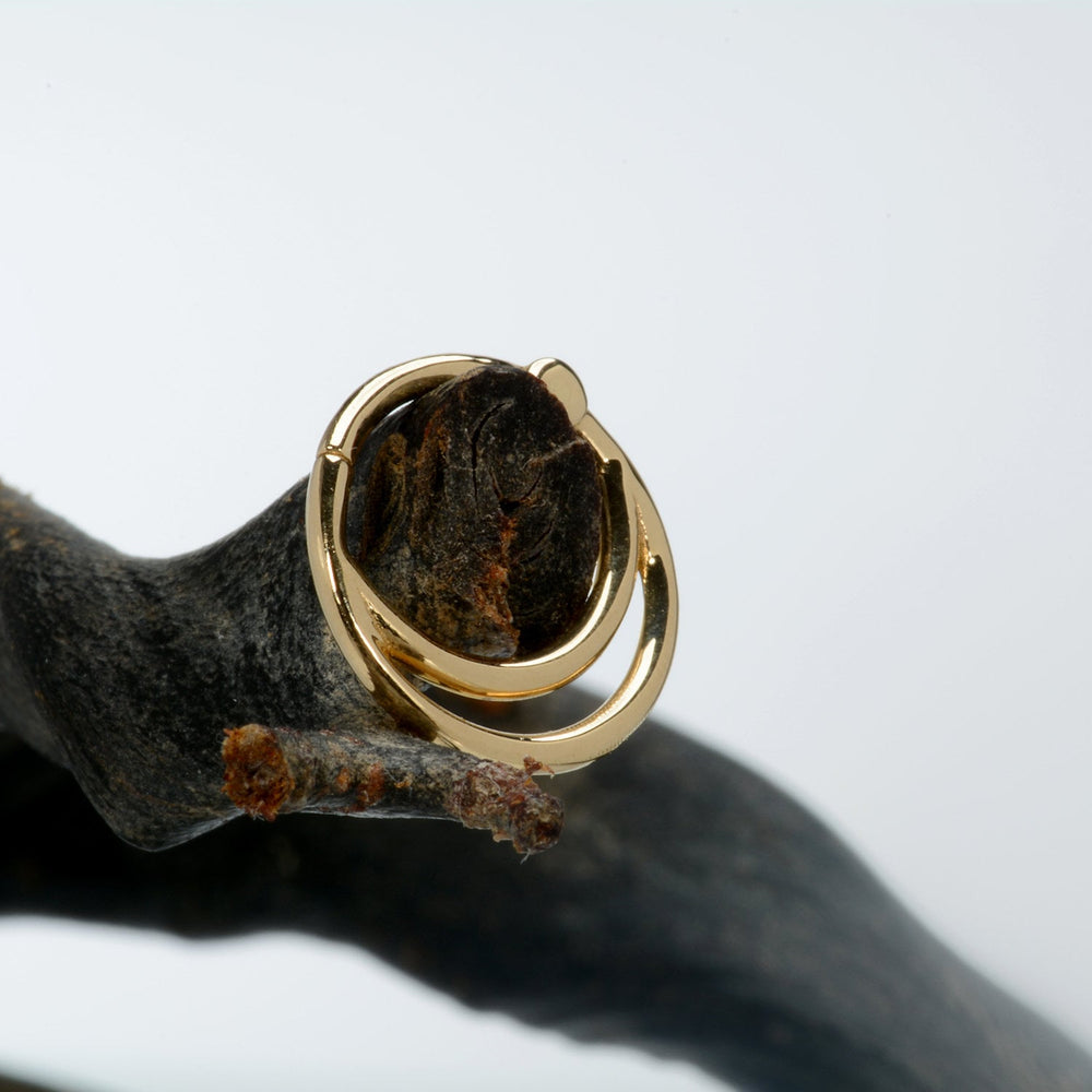 Gold Double Hoop