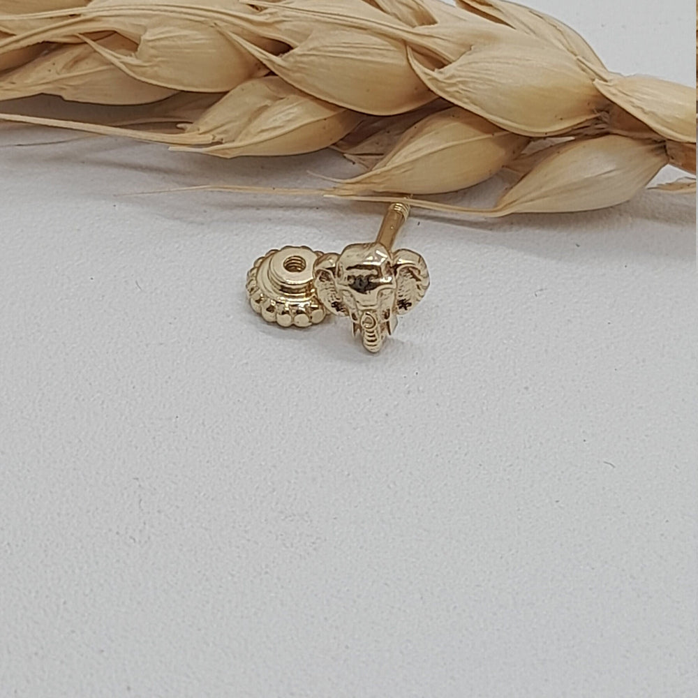 Elephant Stud Piercing