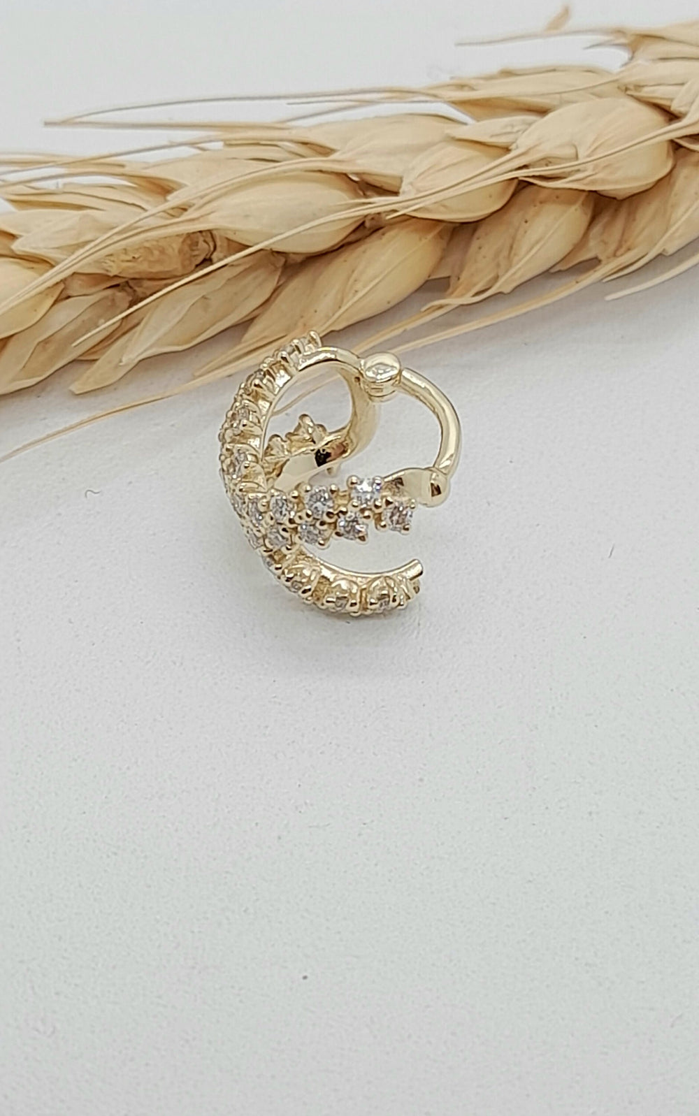 Luxurious Conch Piercing