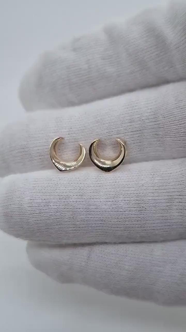 Ear Gauges